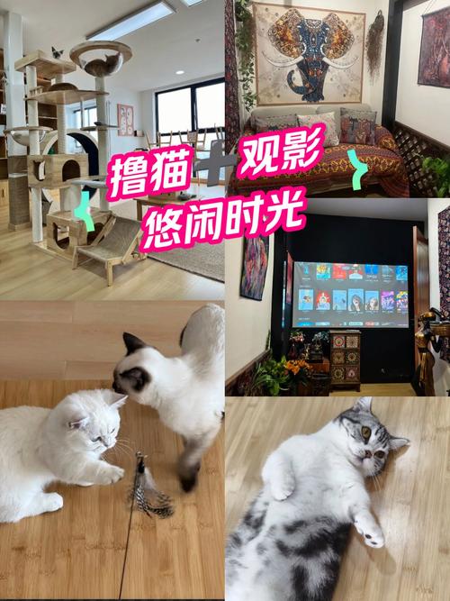 巨乳被艹的相关介绍
