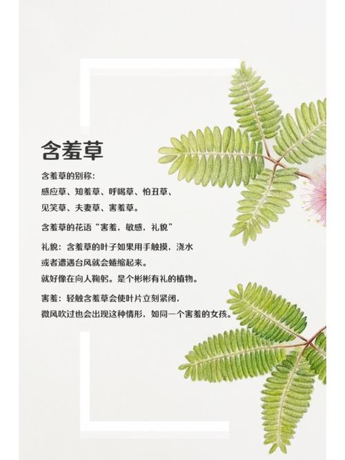 光棍影院2019新光棍推荐：**2019年必看光棍节片单，单身狗专属高分电影排行与最新光棍推荐**（长尾关键词：光棍节片单、单身狗电影排行、最新光棍推荐）