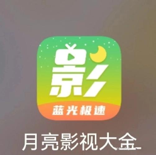 老司机影院在线看片的相关介绍