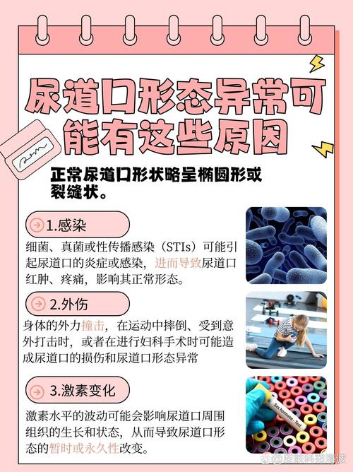 老湿影院官网的相关介绍