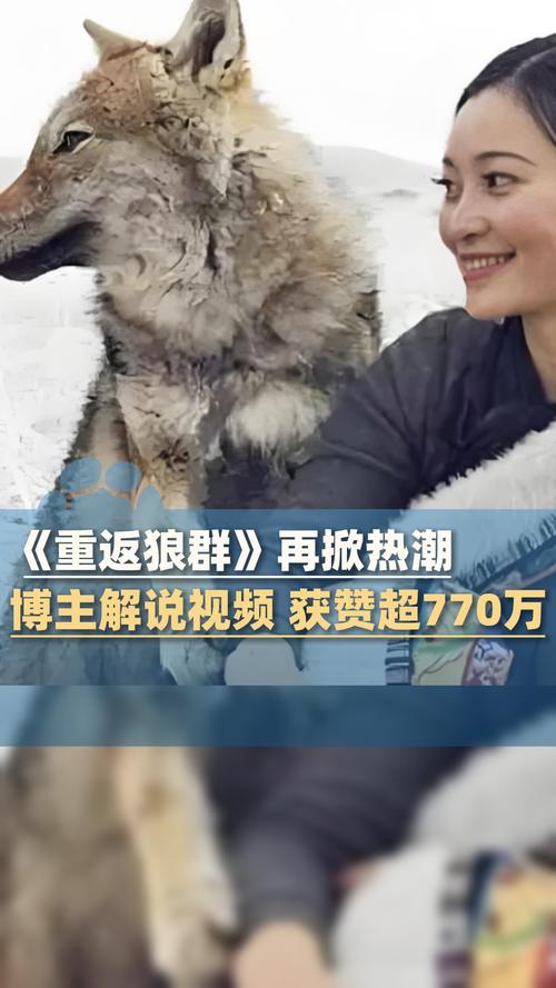 飘零影院下载安装指南 | 2025最新版影视APP免费下载 | 高清电影电视剧在线观看