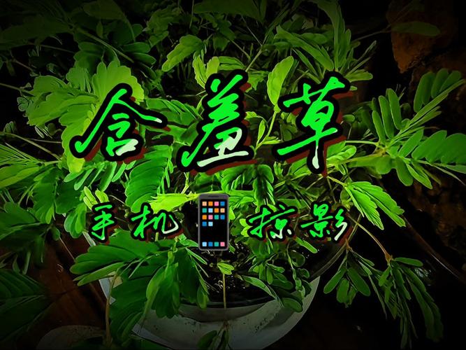 6080新视觉影院电脑版免费在线观看 - 高清影视资源 无广告弹窗 支持极速播放