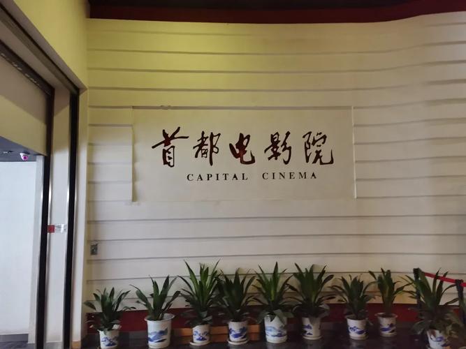哦哦影院在线观看 - 最新免费电影电视剧高清资源 | 高清影视大全
