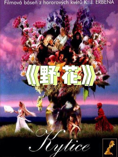 噜噜噜噜私人影院 | 私人影院包场推荐、情侣小包厢观影指南、噜噜噜噜私人影院最新片单