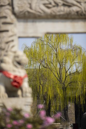 狼群影院www - 最新热播电影电视剧免费在线观看，高清无广告播放平台