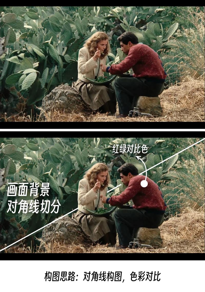 内射老师逼的相关介绍