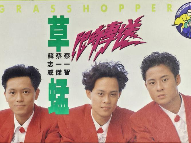 《红楼影院：重温经典红楼梦影视，品味大观园悲欢离合》