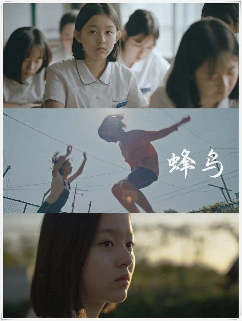 风行影院的相关介绍