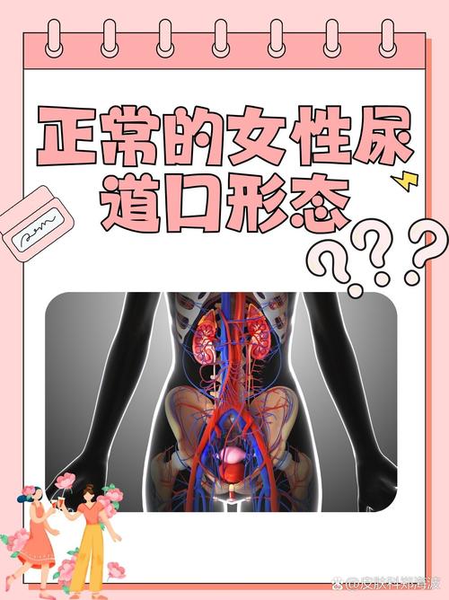 亚洲午夜第一福利社区的相关介绍